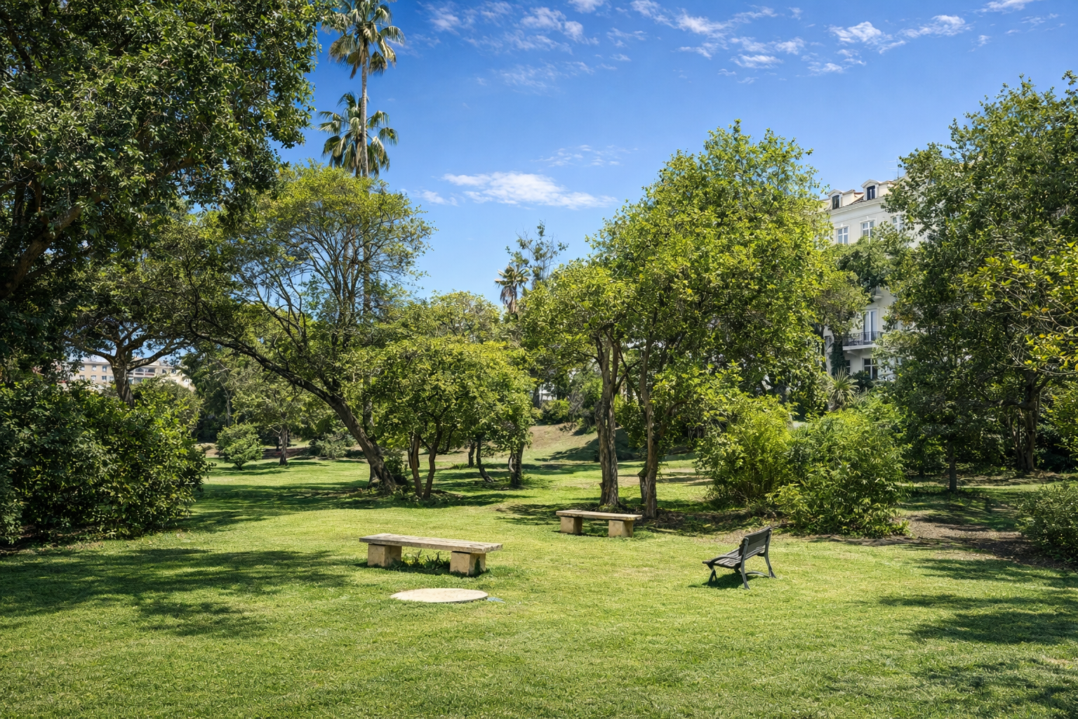 Private residential park with mature Mediterranean pines and open lawn